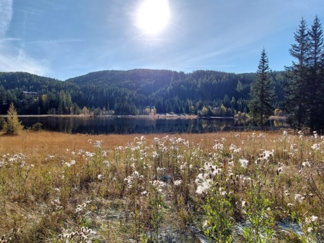 Blick auf den Prebersee